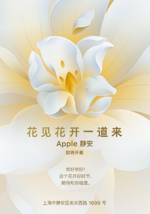 微信截图_20240308104610.png